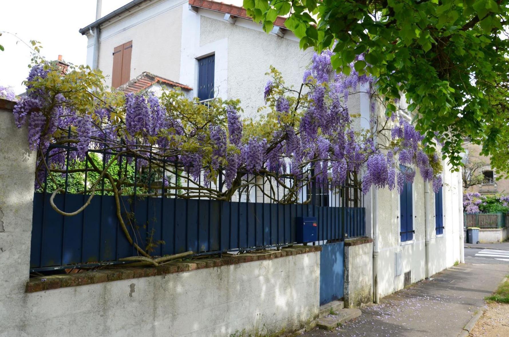Bleautiful "Eugenie" Charmante Maison De Ville Фонтенбло Экстерьер фото